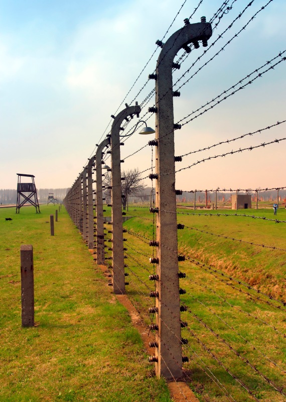 גדר במחנה ריכוז