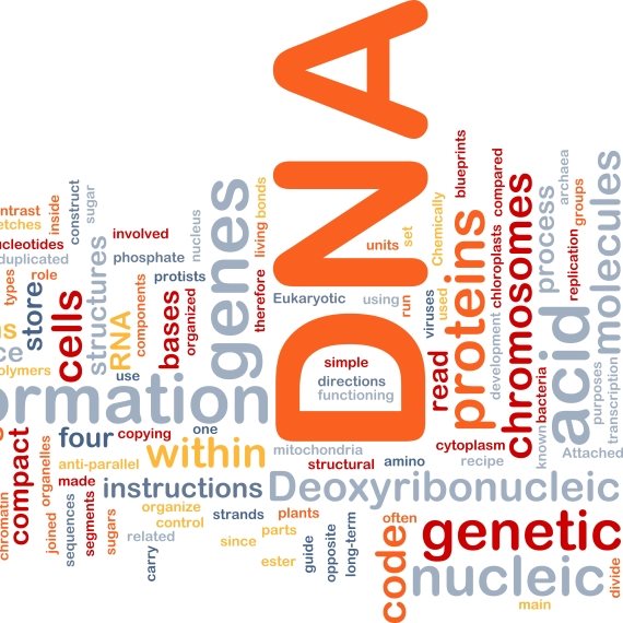 DNA וגנטיקה