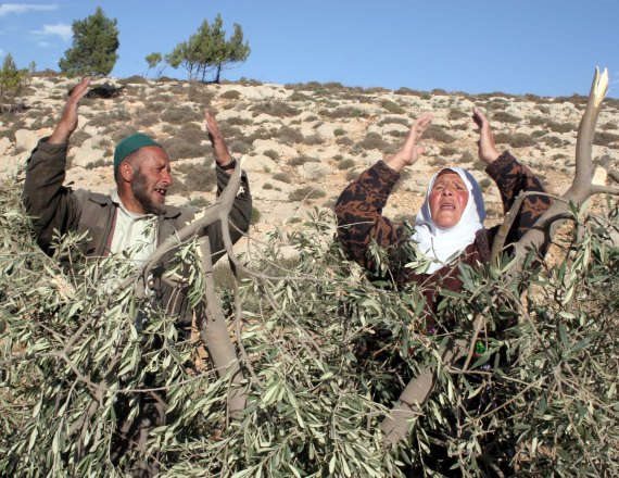 חקלאים פלסטינים - צילום ארכיון