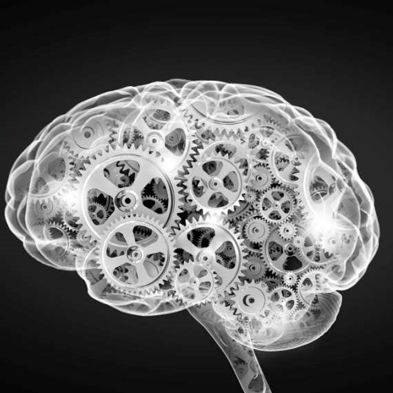 כיצד פועל המוח האנושי?