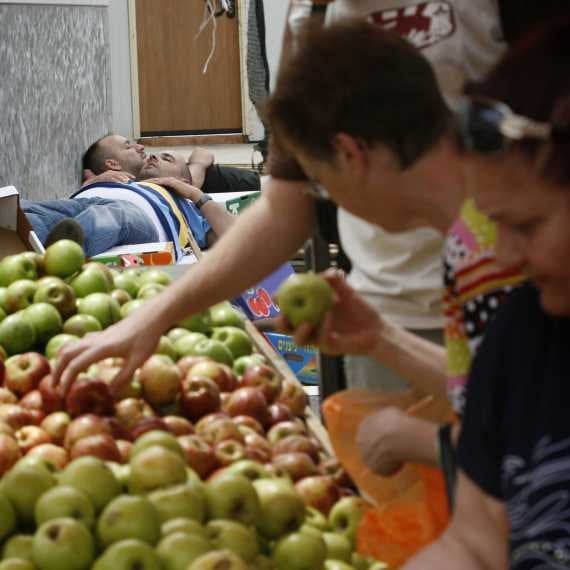 כיצד תפוח נשמר במקרר חצי שנה כמו טרי?