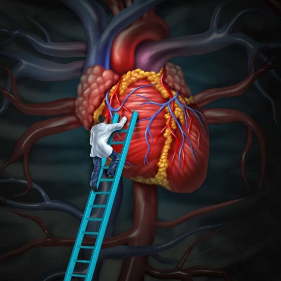 ציור של לב - אילוסטרציה