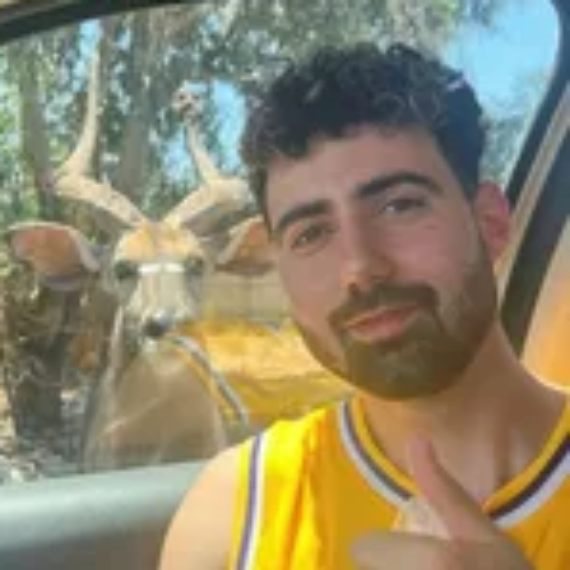 גיא גלבוע דלאל