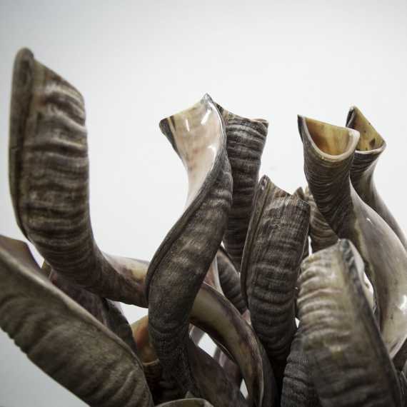 &quot;לקול הזה אין מילים&quot;