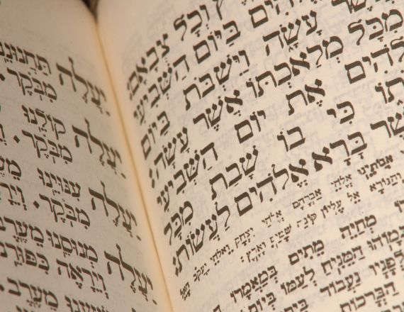 פרשת השבוע, אילוסטרציה