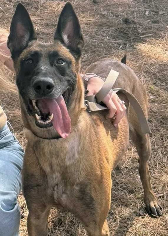 בואו להציל אותה