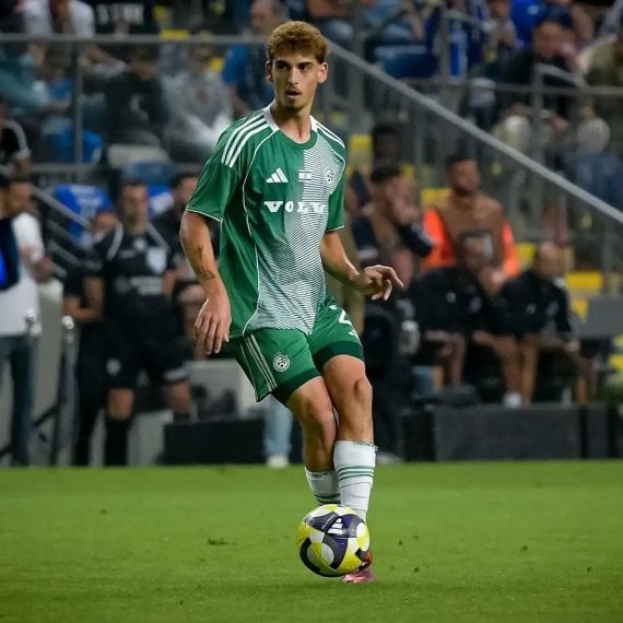 ינון פיינגזיכט