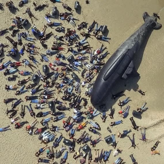 צילום מתוך הסרט לוויתן