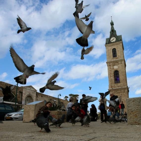 יפו - אילוסטרציה