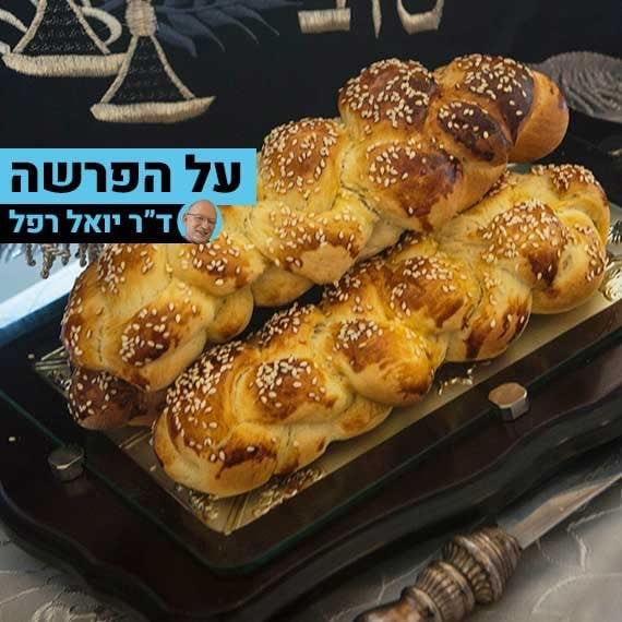 על הפרשה - עם ד"ר יואל רפל