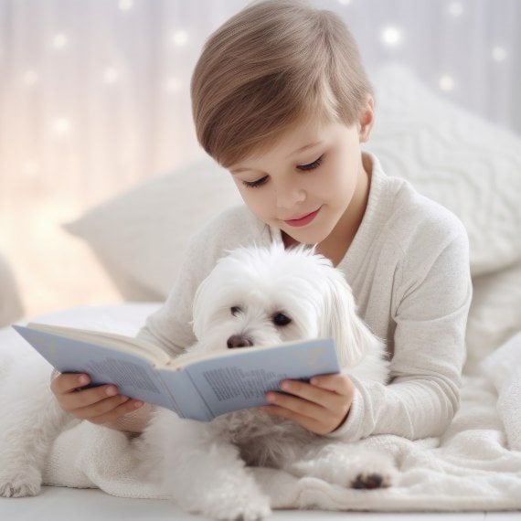 אילוסטרציה