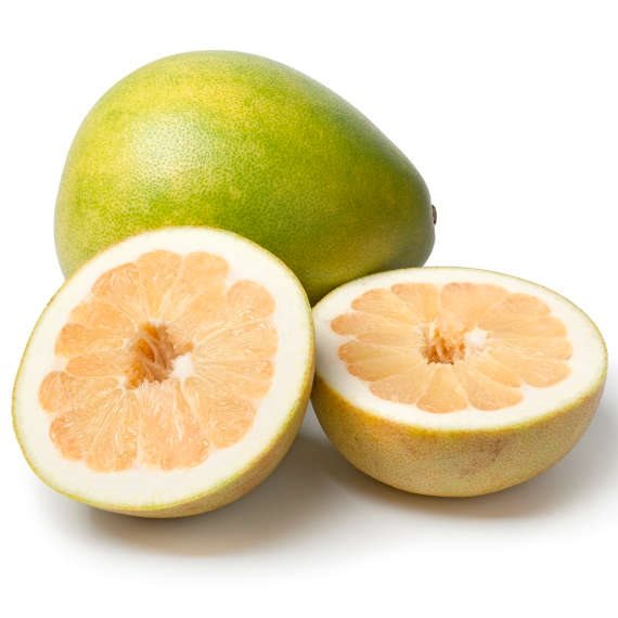 אילוסטרציה