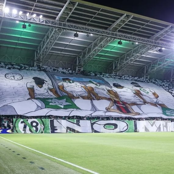 אוהדי מכבי חיפה