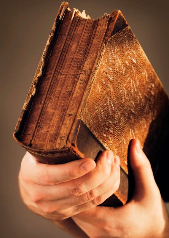 ספרות אילוסטרציה