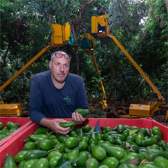 עופר פושקו מוסקוביץ