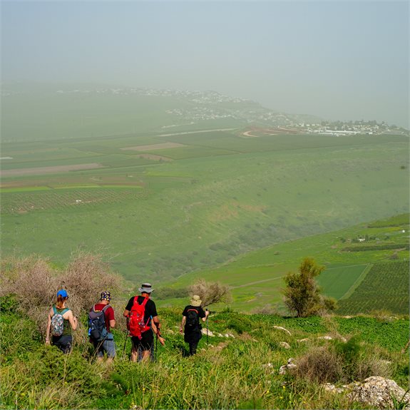 מורה דרך - אילוסטרציה