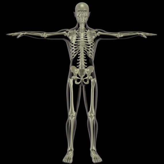 אילוסטרציה