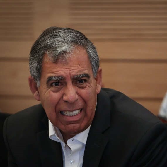 מיקי לוי