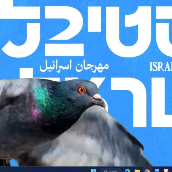 פסטיבל ישראל, דף הבית