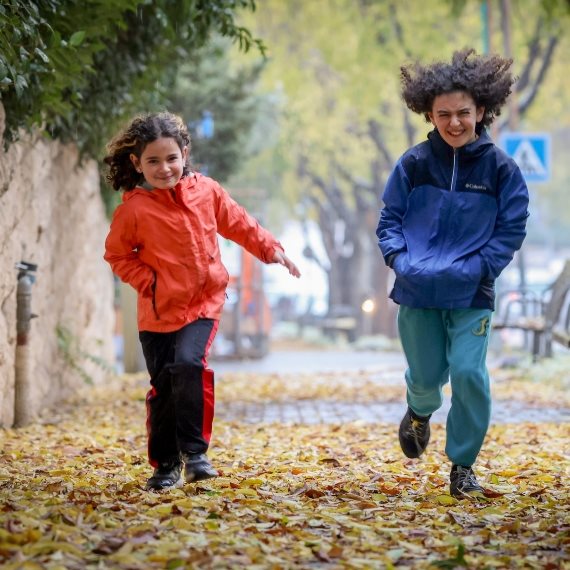 חורף סתיו שלכת